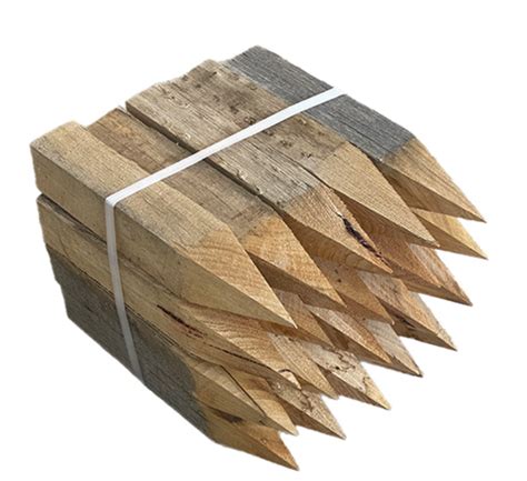Surveyor Pegs: A Crucial Tool for Defining Boundaries.